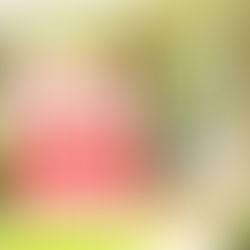 Why Pricing Your Home Right Matters