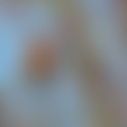 Садовые работы в январе.