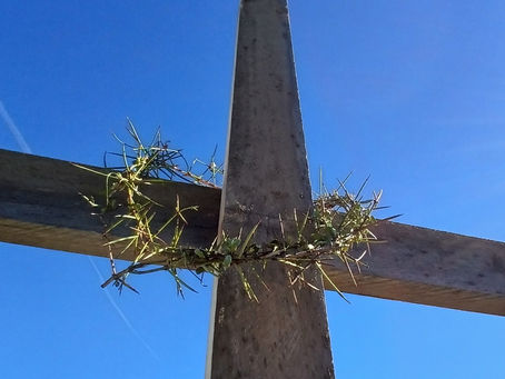 The Crown of Thorns