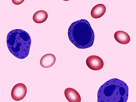 Understanding Autoimmune Diseases: When the Body Attacks Itself