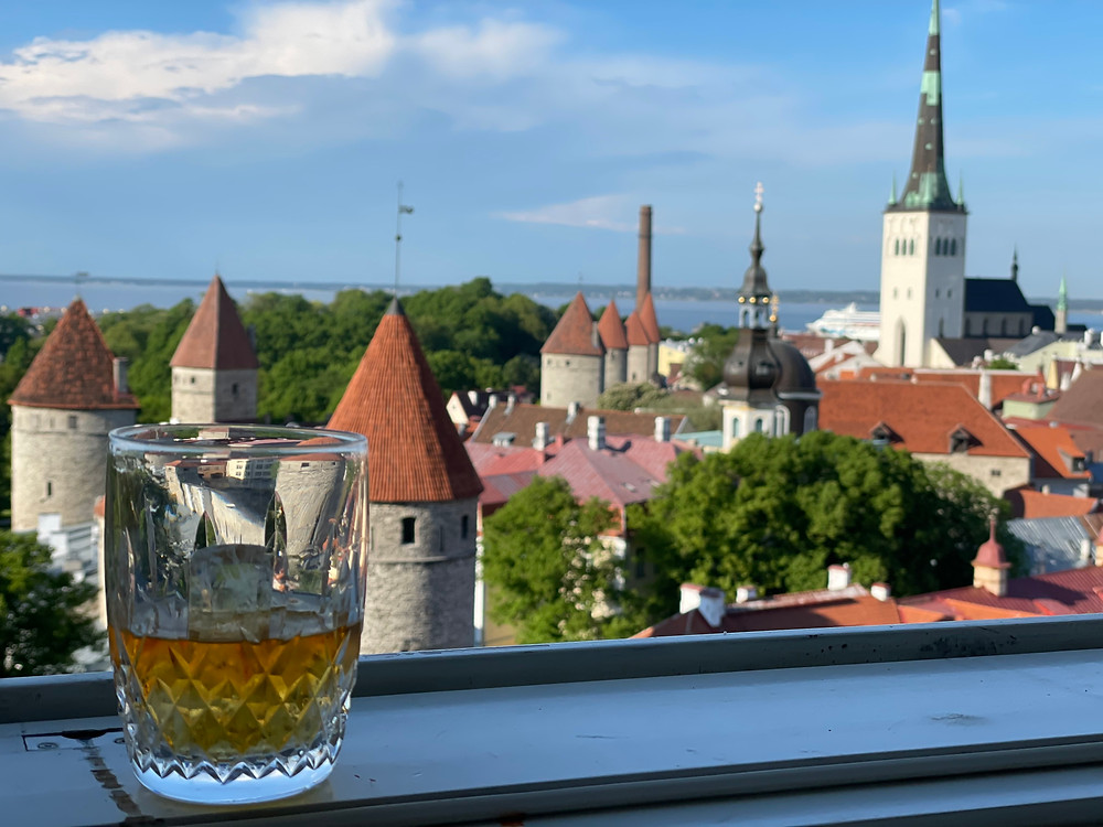 The view from our window while we explored opportunities in the new Estonia