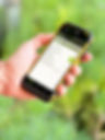 rs36 with mobile report menu screen_edited.jpg