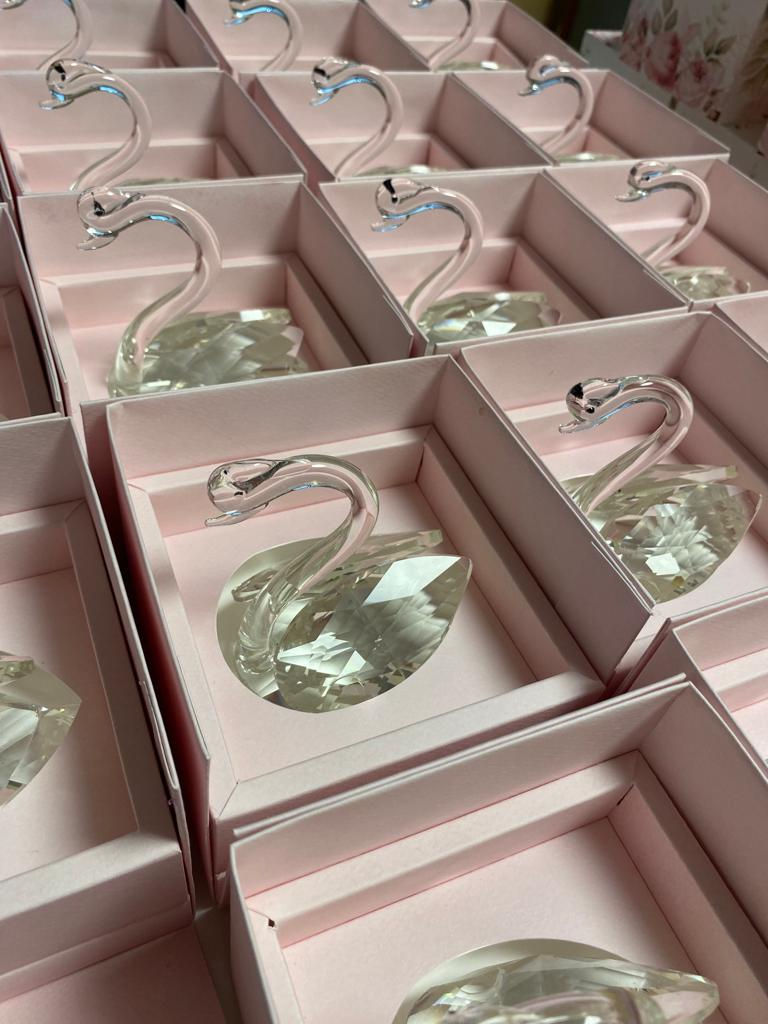 Miniature : Box Cigno