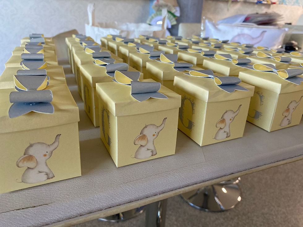 Miniatura: Box nascita Elefantino