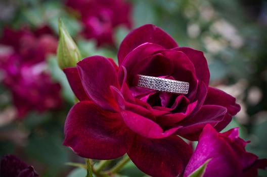 proposal for marriage