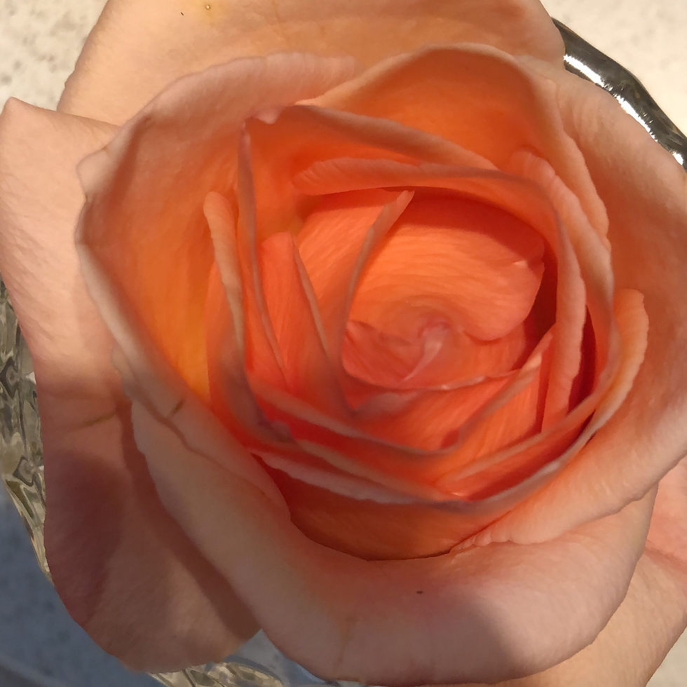 Thumbnail: Rose Petal Confetti dried mixed colour fragrant