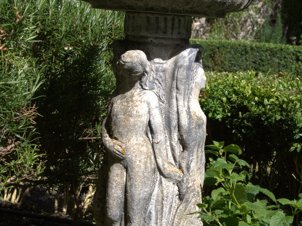 daire's camera 093.jpg