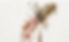 D28295A9-E7E2-458C-B0AC-AC82F5D95912.jpeg