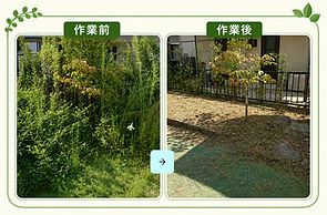 剪定、伐採、草刈り作業前後