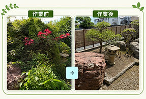 伐採、剪定、草刈り前後