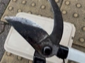 ヤニで黒く汚れた剪定鋏