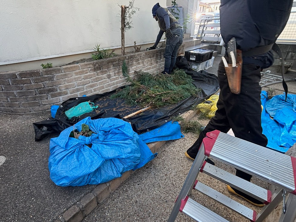 屋外の細い庭先で、作業員が植え込みを剪定・片付けしている。青いブルーシートや袋、脚立が置かれ、片付け作業の雰囲気。