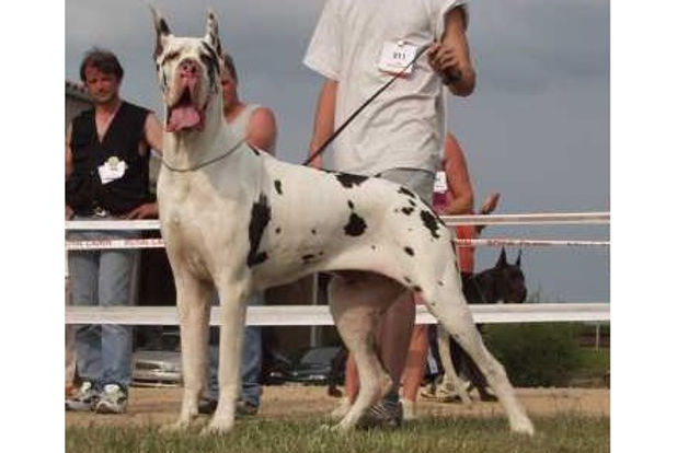 RASOHERINA DE LA BENJAMINE.JPG