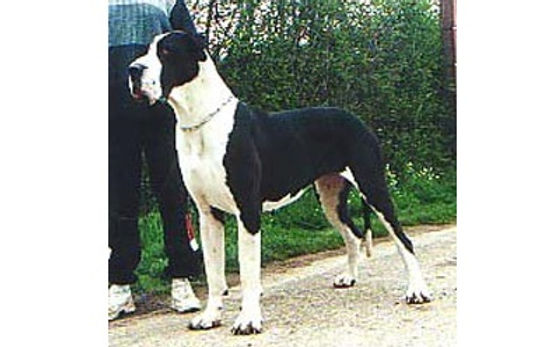 Okaina de la Benjamine.jpg
