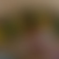 Winter Solstice Blessings 