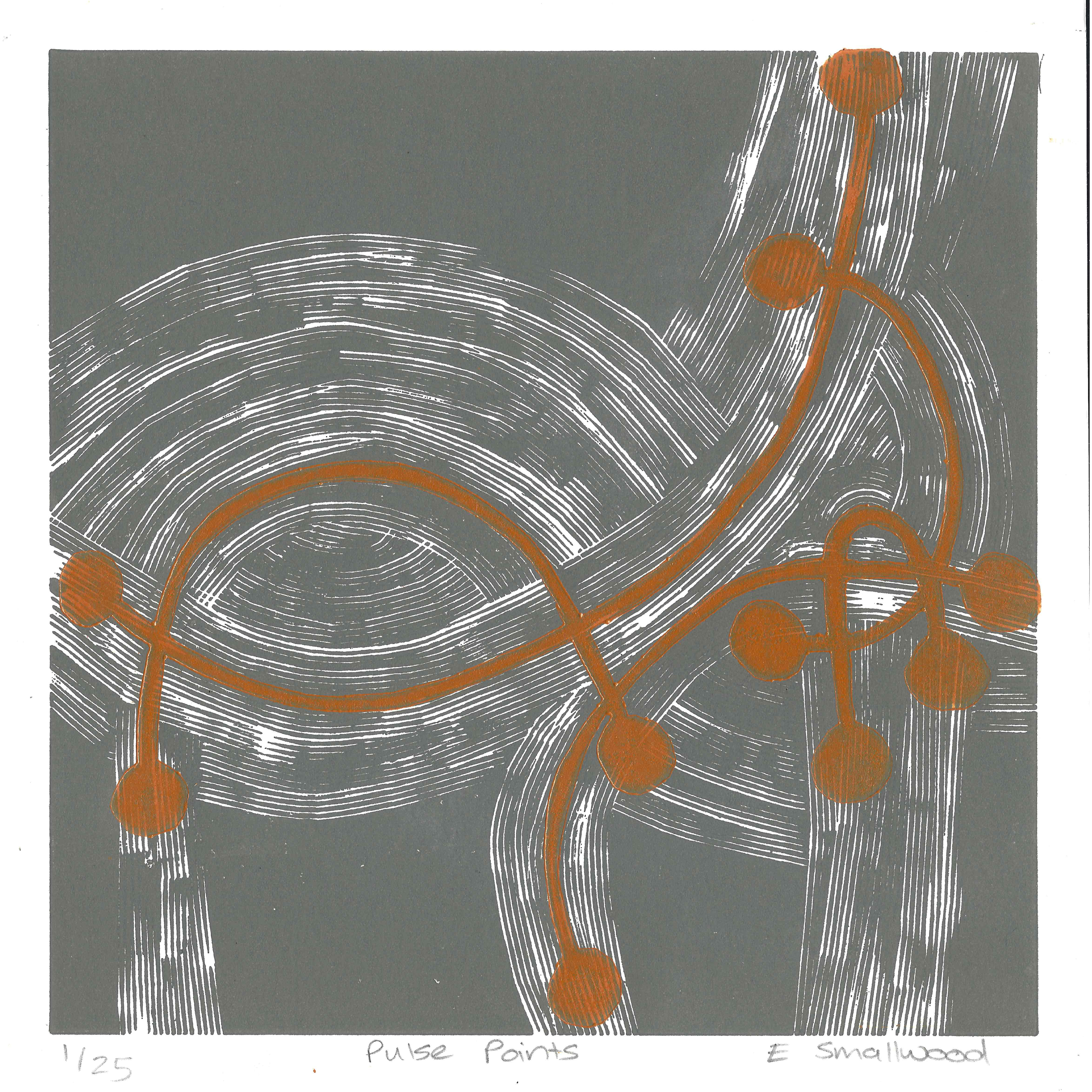 Liz Smallwood - Pulse Points - The Hazel