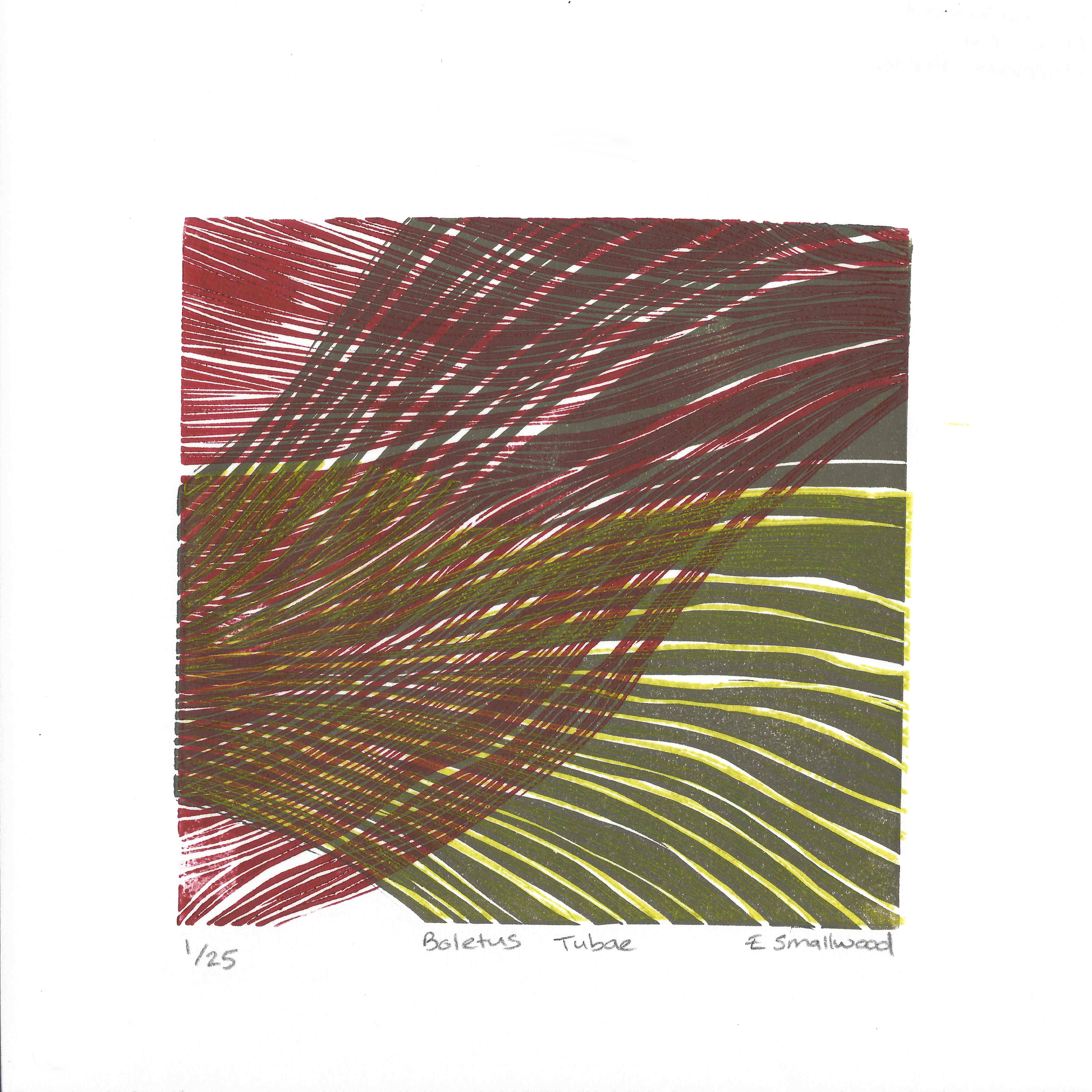 Elizabeth_Smallwood-Boletus_Tubae 1