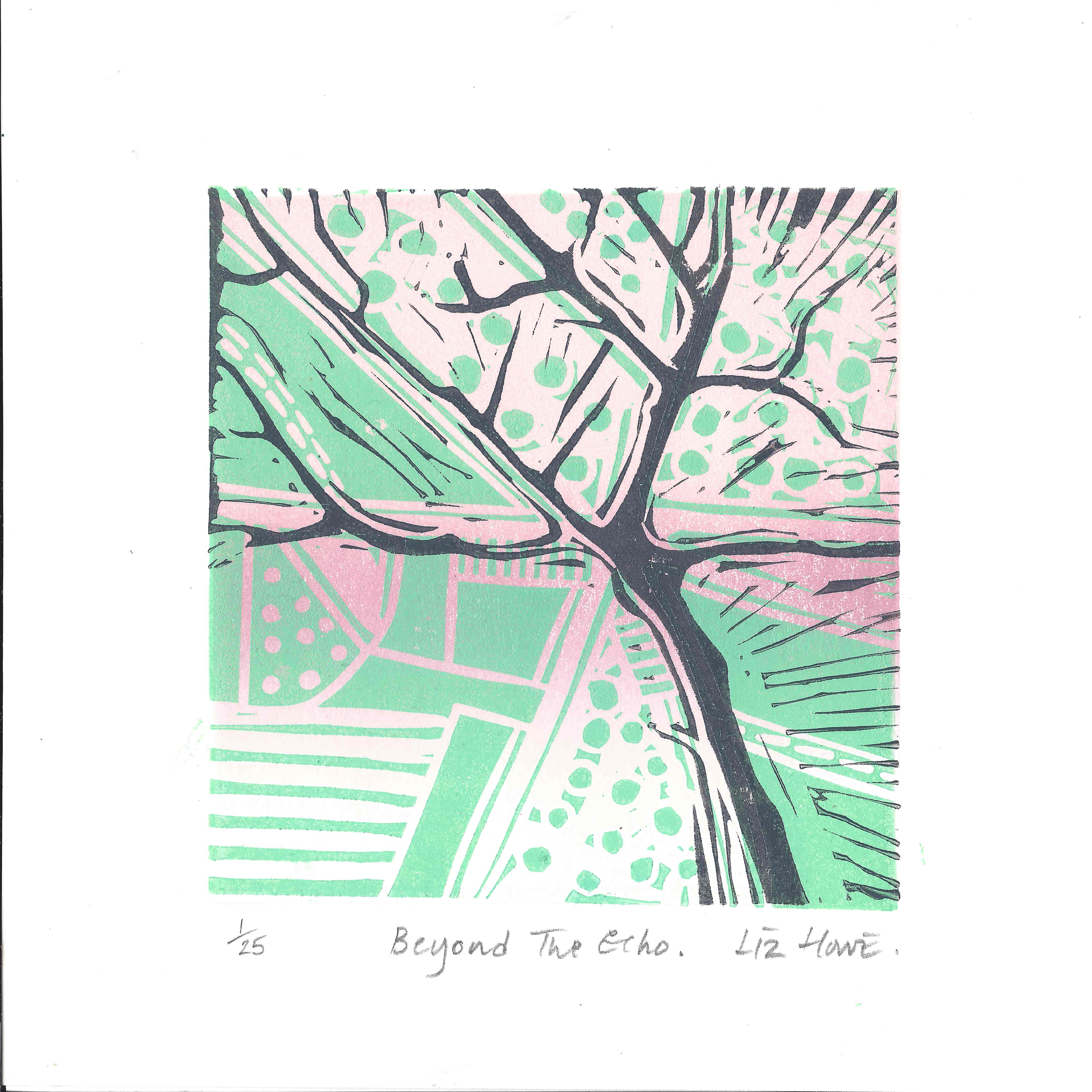 Liz_Howe-Beyond_The_Echo 1