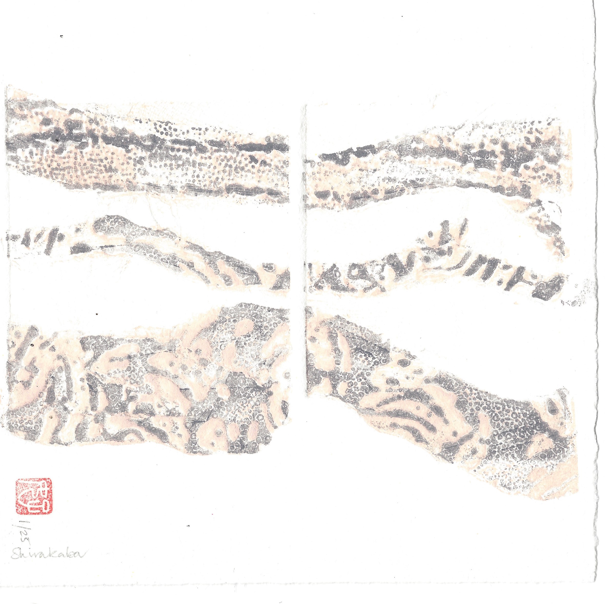 Shirakaba - S Maddocks - Hazelnut Press 2015