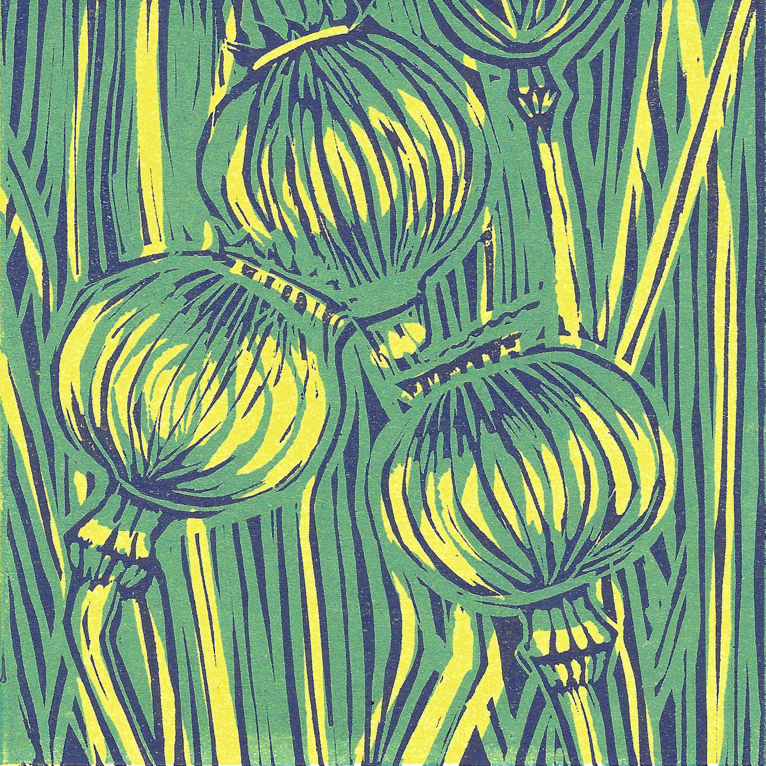 10_Gloria_Holden__Pods