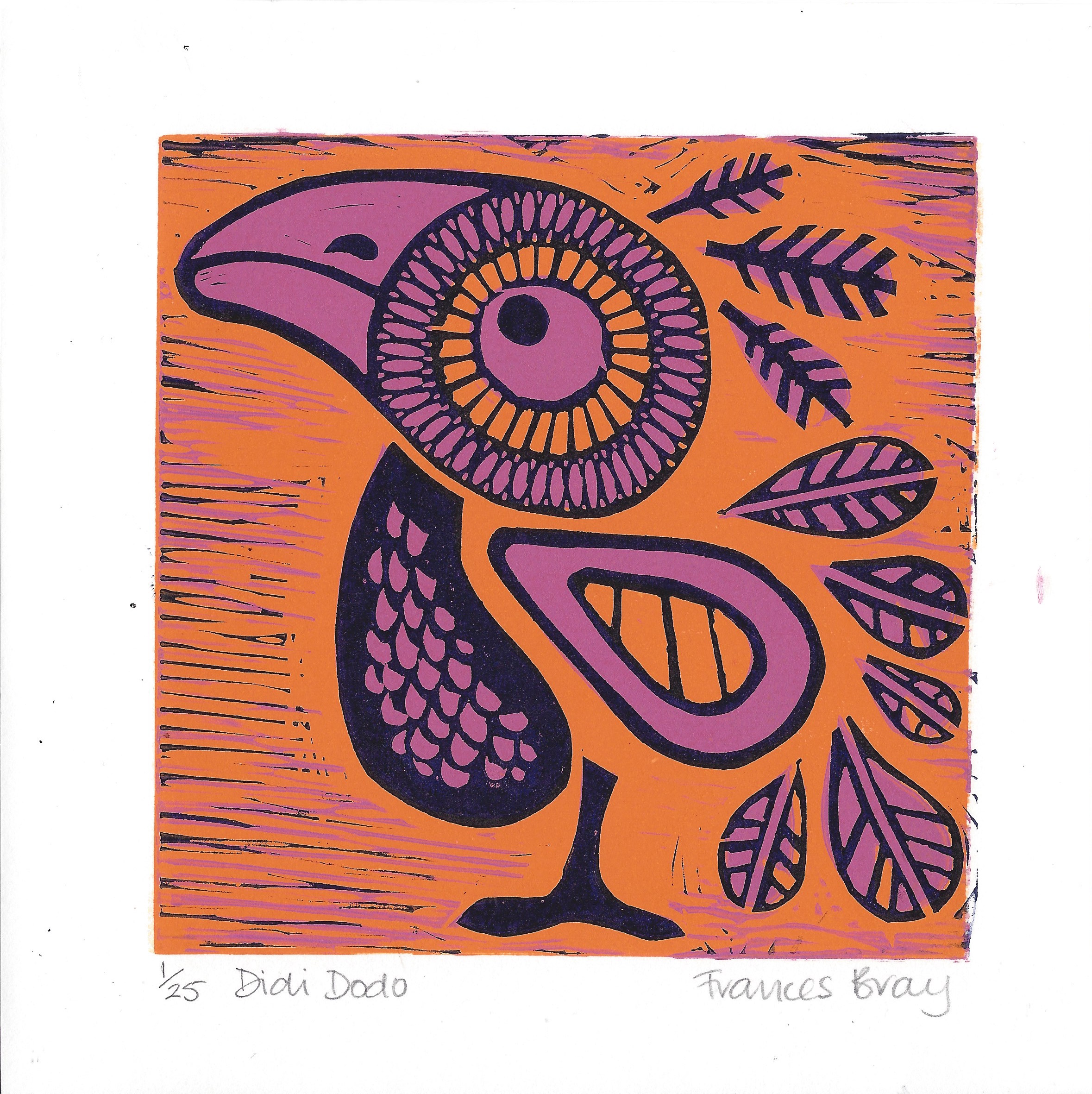 Didi Dodo - F Bray - Hazelnut Press 2015