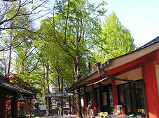 PICT4133.JPG