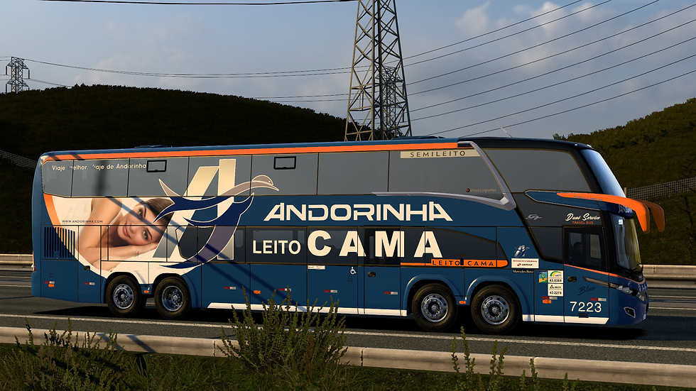 Andorinha 7223 (2)