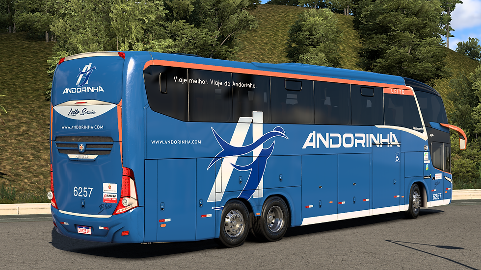 Andorinha 6257 (5)