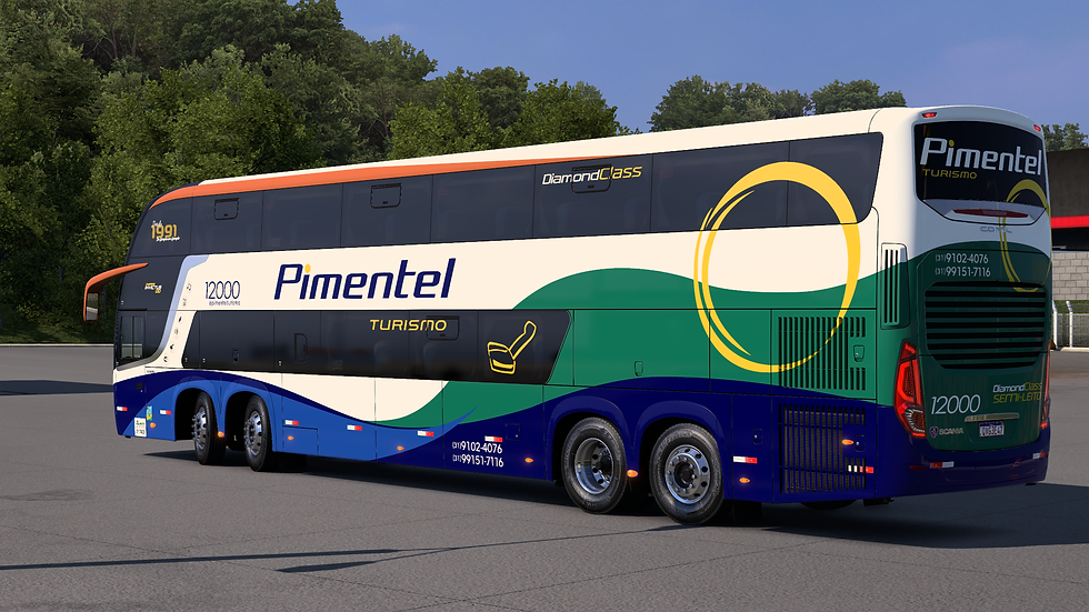 Pimentel 12000 (5)