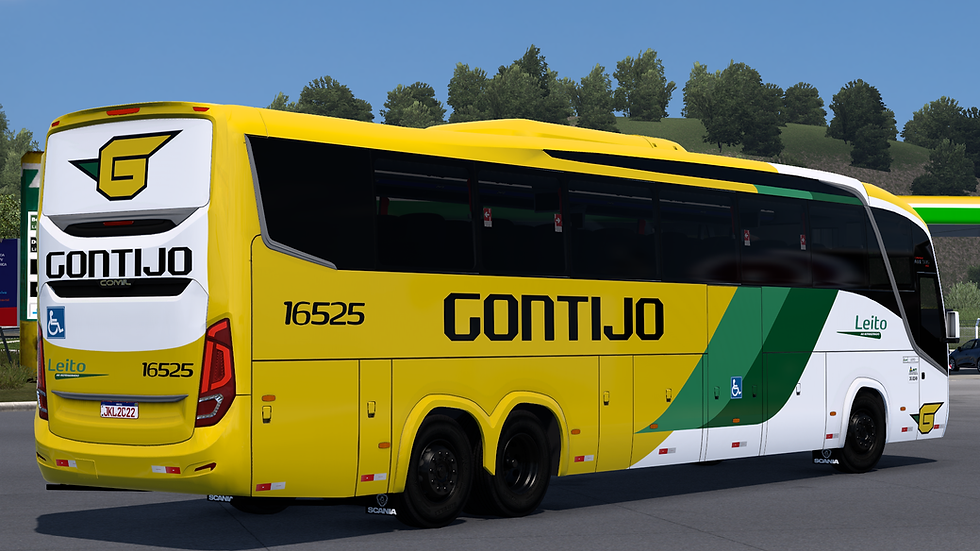 Gontijo 16525 (2)