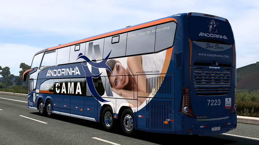 Andorinha 7223 (5)