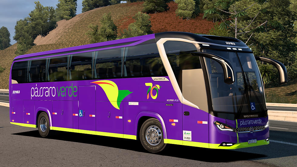 Pássaro Verde 23183 (2)