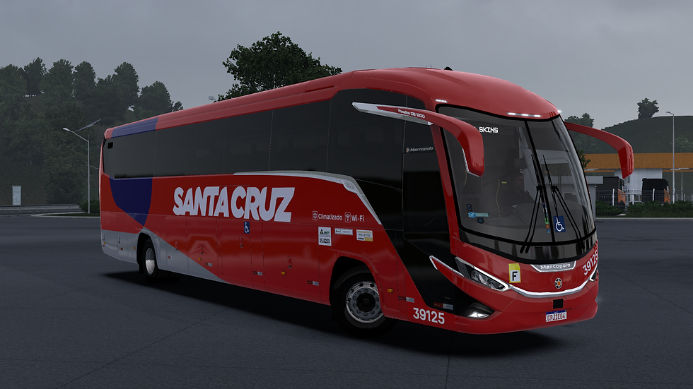 Santa Cruz 39125 sc (2)