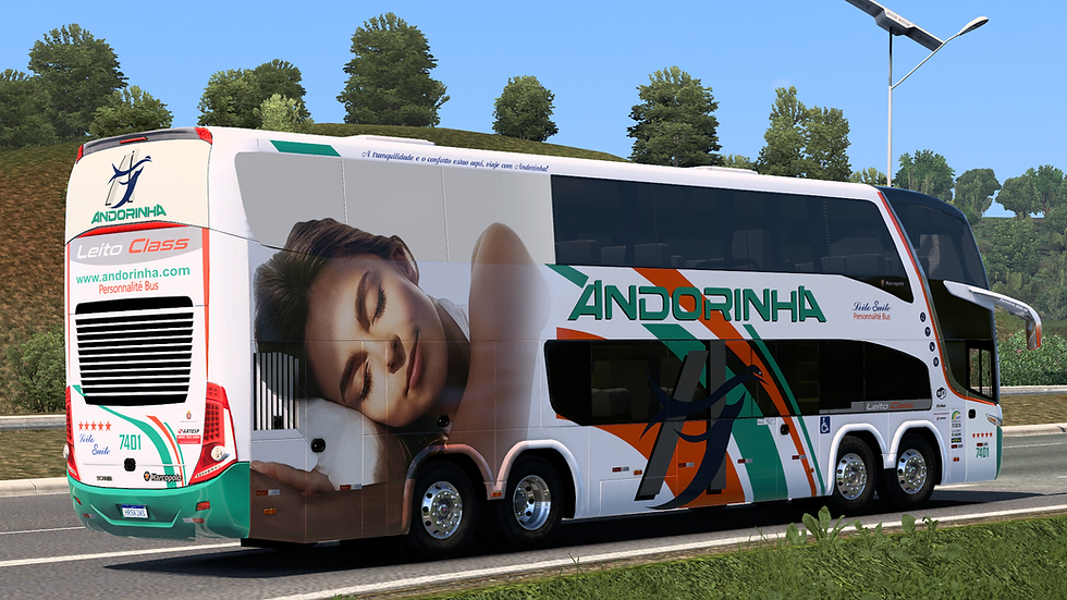 Andorinha 7401 (3)