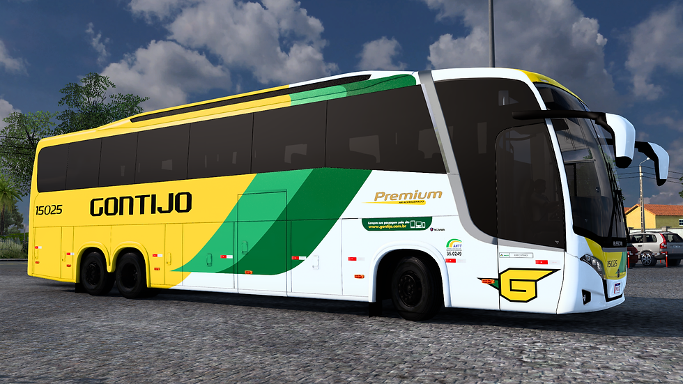 Gontijo 15025 (3)