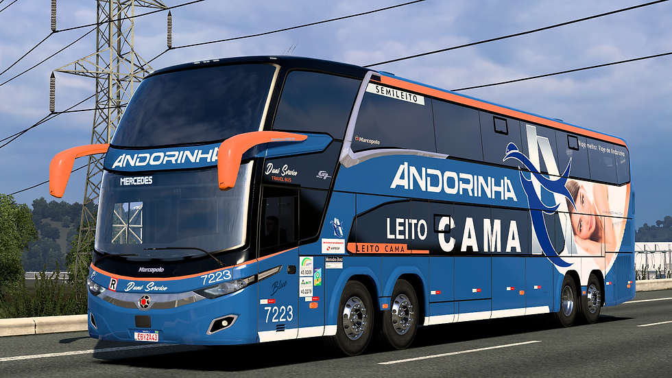 Andorinha 7223 (3)