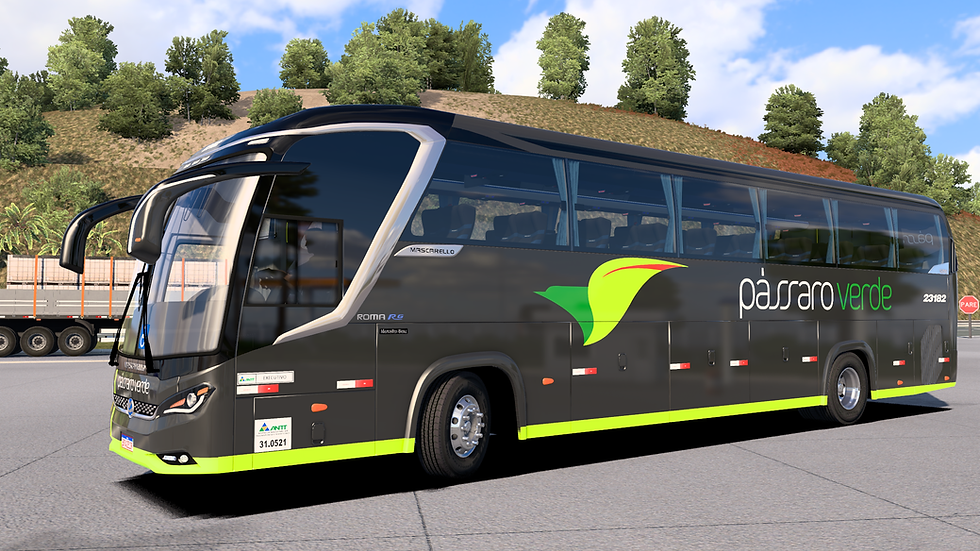 Pássaro Verde 23182 (1)