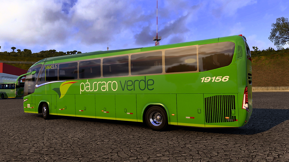 Passaro Verde 19156 (5)