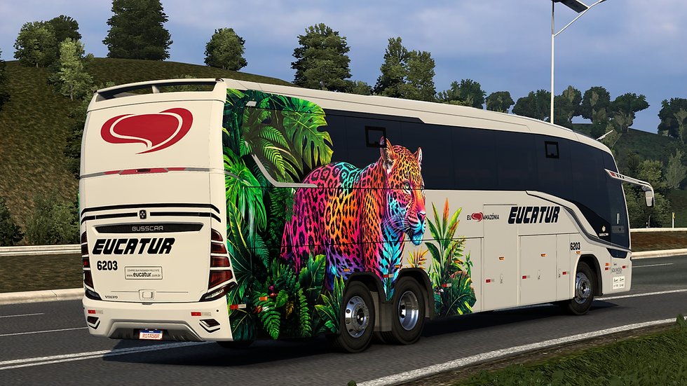 Eucatur 6203 (3)