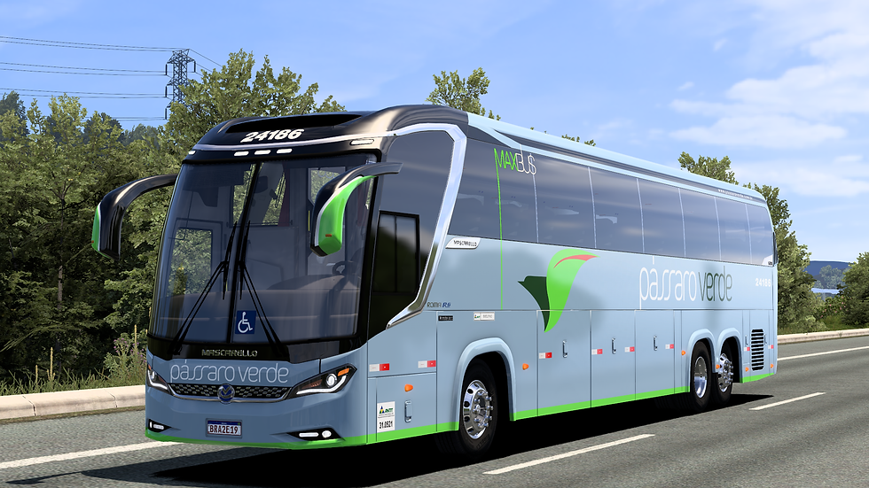 Passaro Verde 24186 (1)