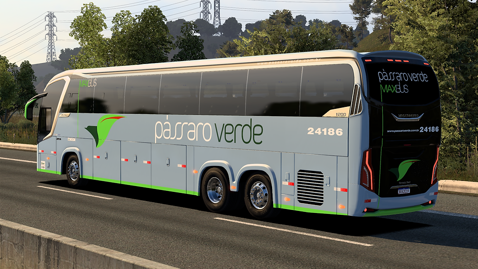 Passaro Verde 24186 (4)