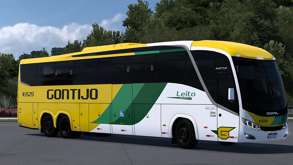 Gontijo 16525 (1)