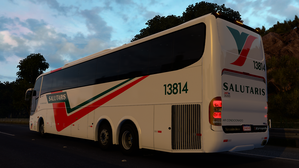 Salutaris 13814 (5)