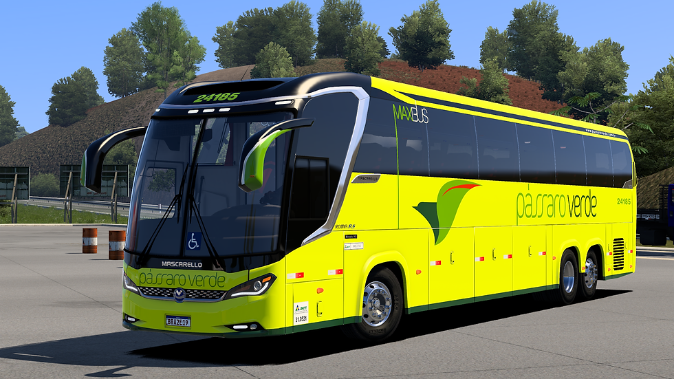 Passaro Verde 24185 (1)