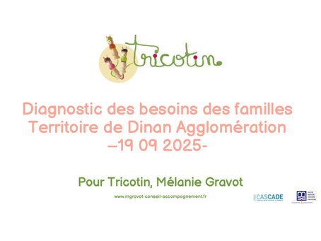 Diagnostic des besoins des familles de Dinan Agglomération 2025