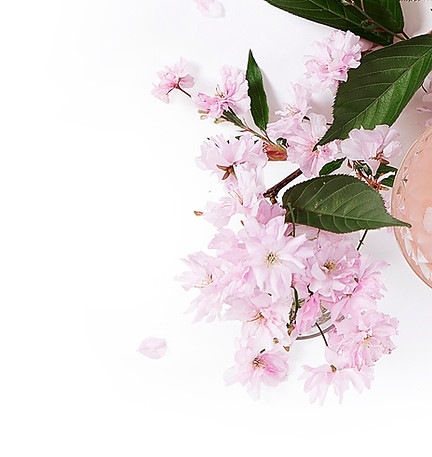 cherry-flower_edited.jpg