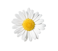 GettyImages-528414990.png