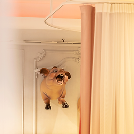 Flying-pig_DiverXO.png
