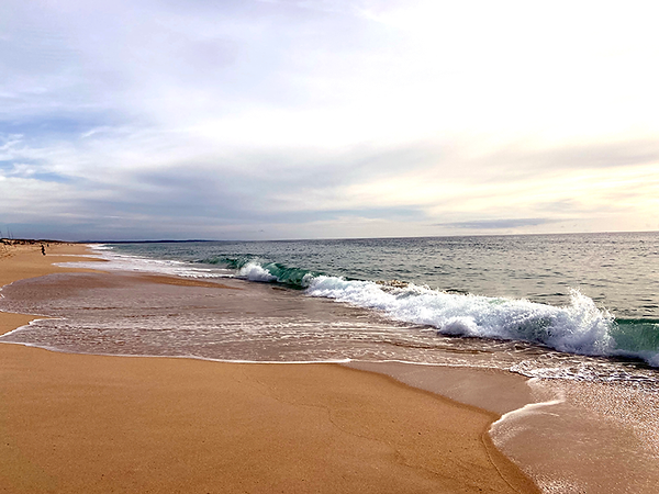 Comporta-praia-Pia.png