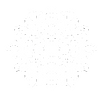 snøkrystall.png